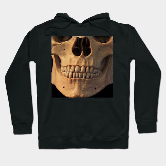 Skull - skull in color Hoodie by ro83land